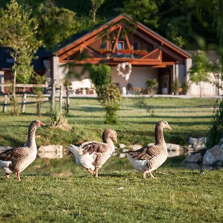 Agriturismo I Comelli * Nimis