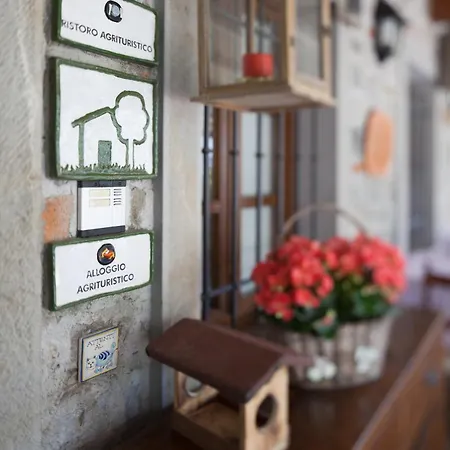 Farm stay Agriturismo I Comelli Nimis