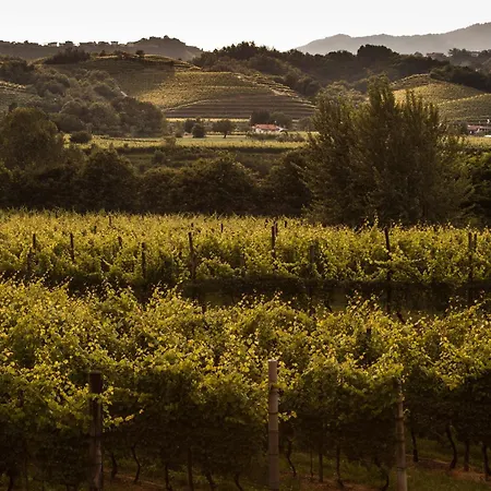 Agriturismo I Comelli Farm stay *