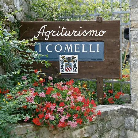 Agriturismo I Comelli Farm stay *