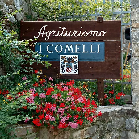 Agriturismo I Comelli *