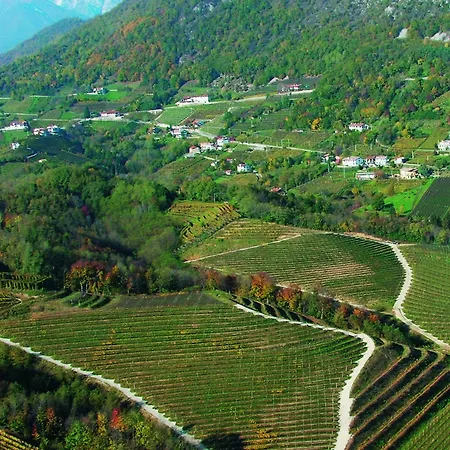 Agriturismo I Comelli