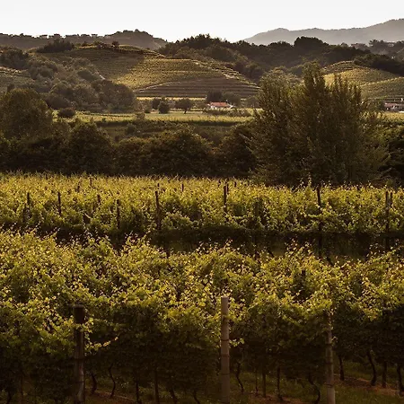 Agriturismo I Comelli Nimis