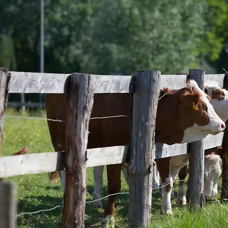 Agriturismo I Comelli Farm stay *