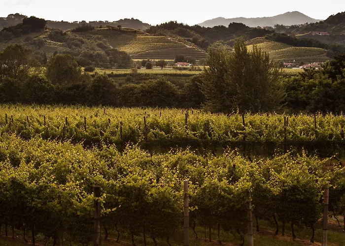 I Comelli Vakantieboerderij *